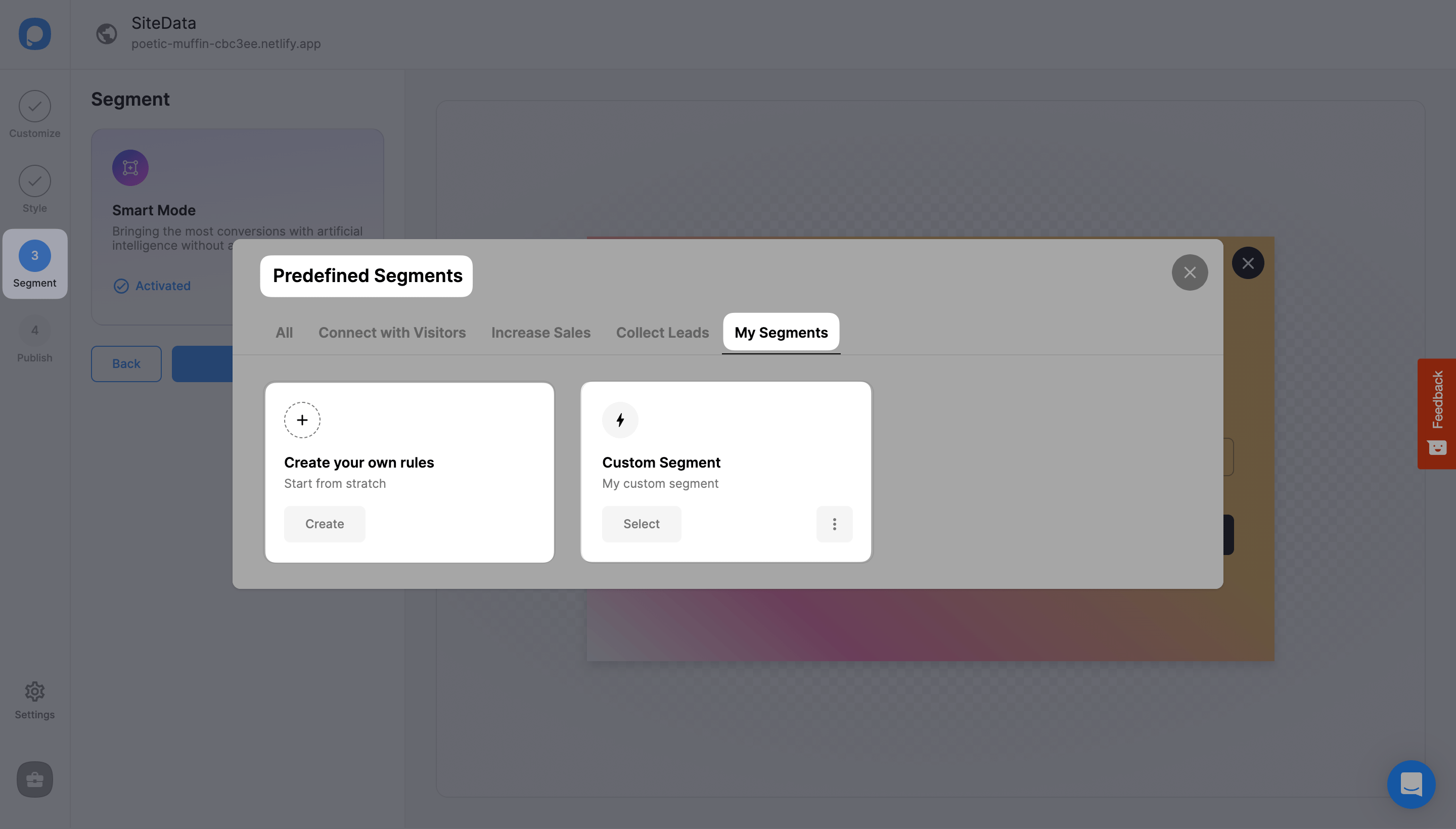 predefined segments section